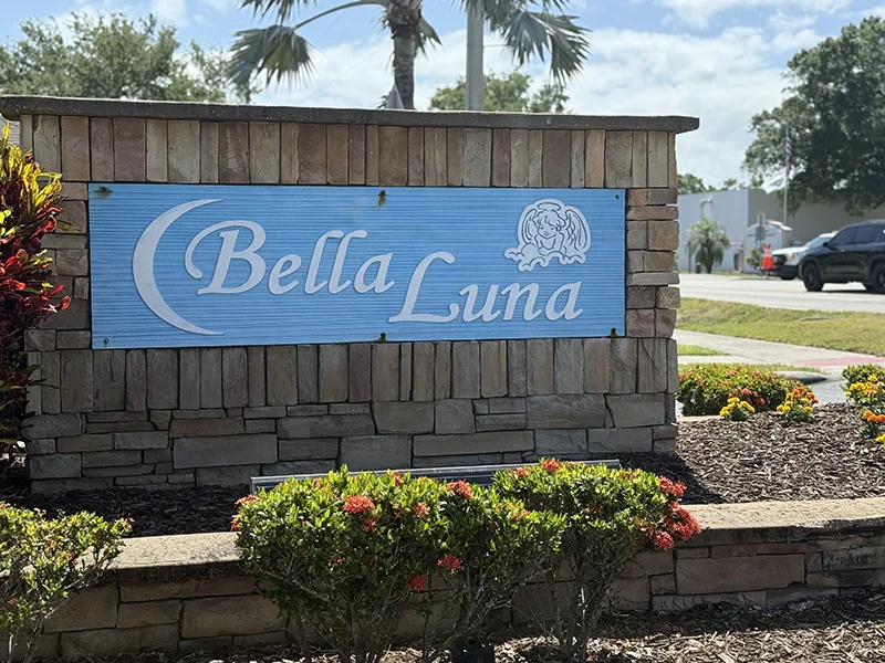 bella luna